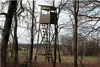 21.11. und 22.11.: Drückjagd in Neuwied