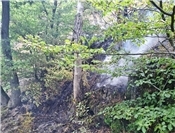 27.07.: Altenahr: Feuer im Langfigtal