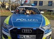 27.12.: Achtung, „Tiger“ auf der Autobahn: Polizei rettet verlorene Kuscheltiere