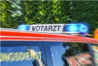 29.01.: Großraumtaxi brennt nach Crash