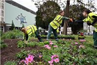 65.000 Pflanzen für
ein farbenfrohes Stadtbild