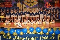 Abwechslungsreiches Programm mit Showtänzen,
Männerballett-Auftritten und Gardetänzen