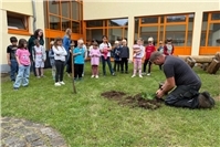 Apfelbaum-Projekt der Grundschule St. Georg in Polch 2026