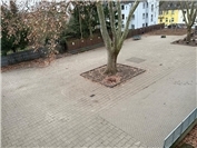 Aus Beton wird Lebensraum: Schulhof wird neu gestaltet