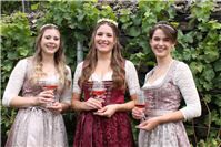 Austern, Weine und stimmungsvolle Livemusik beim Rheinbrohler Weinfest