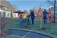Bäume, Sträucher und Spielräume: Mehr Natur für Kita-Kinder