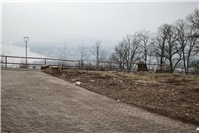 Bündnis 90/Die Grünen Vallendar kritisieren Abholzung auf der Kaiser-Friedrich-Höhe: Naturschutz ble