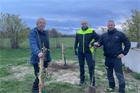 DJK Andernach pflanzt Obstbäume für Biodiversität und Klimaschutz in Andernach