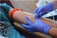 DRK schlägt Alarm: „Bitte spenden Sie Blut!“