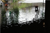 Dat Wasser von Bonn ...