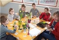 Die Natur erwacht – frühblühende Pflanzen und ihre Geheimnisse