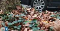 Die Polizei gibt Tipps: Sicher durch Herbst und Winter 