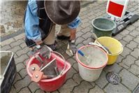 Drei neue Stolpersteine in Koblenz erinnern an vergessene Opfer des Nationalsozialismus