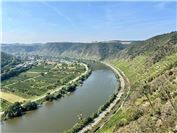 Drohnen im Steillagenweinbau