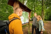 Druidensteig Wandertag 2026: Deutschlands schönsten Wanderweg gemeinsam erleben