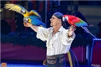 Ein Fest der
Magie und des Staunens