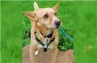 Ein Tier zu adoptieren,
ist eine Entscheidung des Herzens!