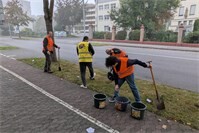 Einheitsbuddeln in Neuwied stärkt Biodiversität und Gemeinschaft