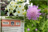 Einladung in den Naturnahen Schaugarten Wachtberg