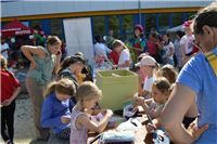Erstes Vereinsfest zeigte große Vielfalt des Vereinslebens in Remagen