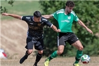 FV-Teams starten erfolgreich in die Saison