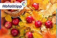 Fallobst und Laub entsorgen