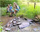 Familienfreundliche Wanderungen im Westerwald – Perfekt für die Sommerferien