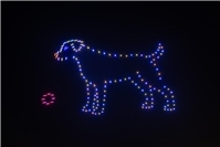 Feuerwerk: „Tierfreundlich knallen gibt es nicht!“