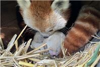 Fit und flauschig: Willkommen, Flyn!