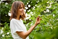 Gärtnern ohne grünen Daumen