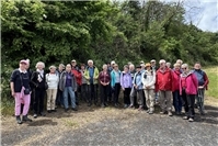Geführte Eifel-Wanderungen im Juli 2026 ab Mayen und Umgebung