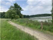 Gemeinderat beschließt mehrere Projekte
