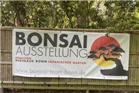Große Bonsai-Freiluftausstellung im Japanischen Garten Bonn