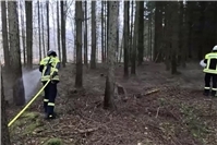 Großübung Waldbrand in Lahnstein mit 120 Einsatzkräften erfolgreich trainiert