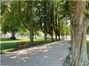 HeimatCheck: Bad Neuenahr: Zu viele unangeleinte Hunde im Stadtgebiet?