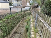 HeimatCheck: Was wird aus dem Mühlenteich in Ahrweiler?