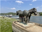 „Heimat?Land!“ #005: Die Treidel-Pferde von Kripp