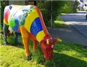 „Heimat?Land!“ #007: Die bunte Kuh aus dem Westerwald