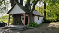 „Heimat?Land!“ #012: Der besonderste Baum im Westerwald