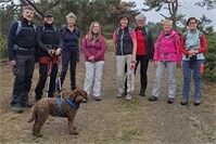Herbstliche 12 km Wanderung rund um Wanderath im Eifelraum