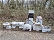 Illegale Müllablagerung inmitten der Natur