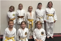 Intensiver Bezirkslehrgang für Remagener Judoka in Mendig