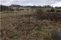 Jahreszeitenwanderung auf der NABU-Naturerbefläche Westerburg