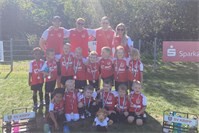 Junglöwen des SV Kripp begeistern beim Bambini-Treff
