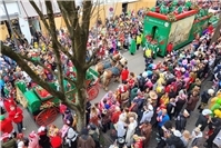 Karnevalsumzüge mit oder ohne Pferde?