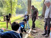 Kinder schaffen Waldlehrpfad
im Forst Hümmeroth