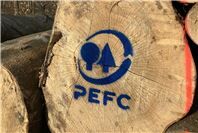 Klimabündnis kritisiert unzureichenden Schutz von Natura-2000-Gebieten im Stadtwald Koblenz