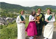 Kulinarische Wanderung über den Weinberghöhenweg