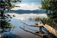 Laacher See. Neue Studie stellt bisherige Vulkan-Theorie in der Eifel infrage
