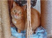 Lilli sucht Menschen